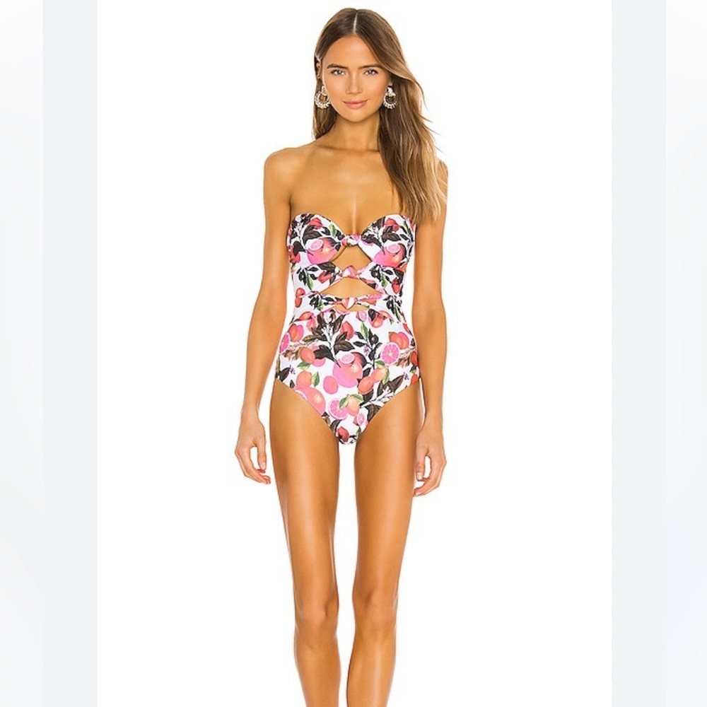 Beach Riot Karla fruity one piece bathing suit